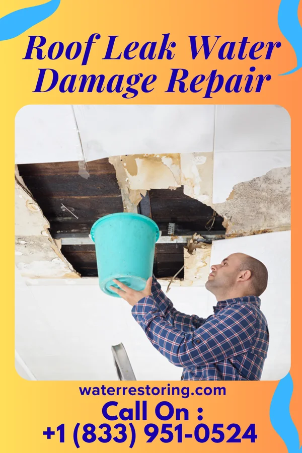 Roof Leak Water Damage Repair in Dallas, TX